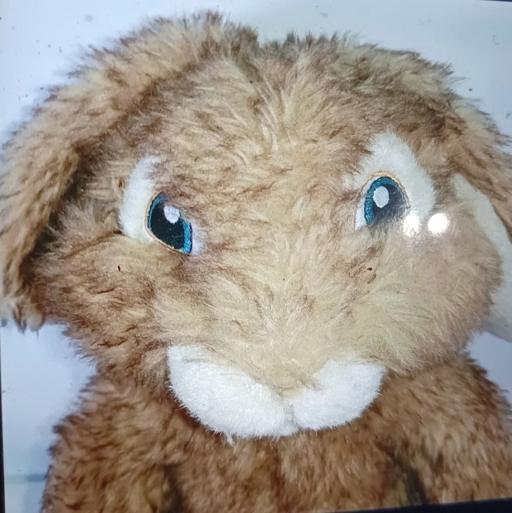 Build a bear Hop Rabbit plush - Picture 2 of 4